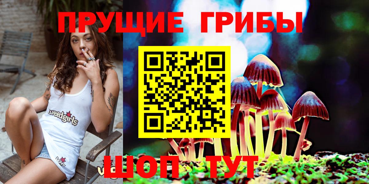 купить наркотик  Псилоцибиновые грибы Psilocybe  Вход с VPN  Лабинск 